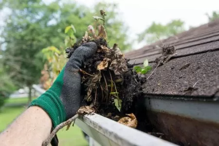 Don't Ignore Your Gutters: Power Washing for Maintenance