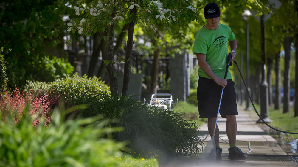 When to Call in the Pros - Pressure Washing